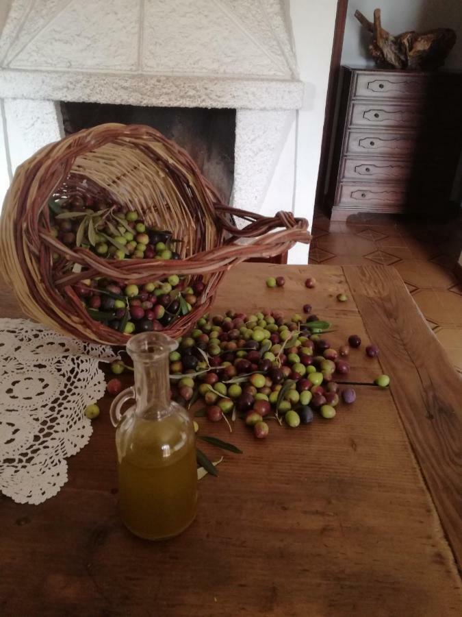 Maison d'hôtes Casa La Calicchia à Norma Extérieur photo